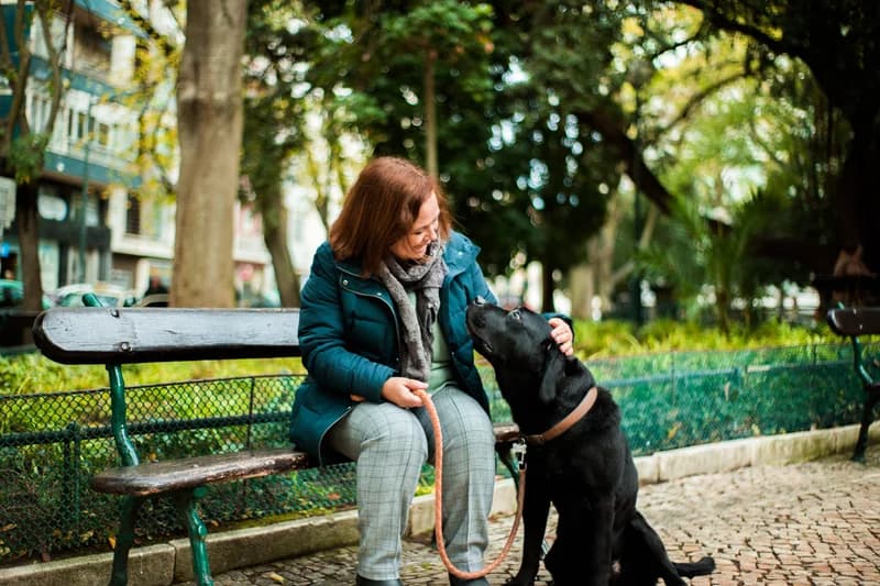 Animais de estimação (visitas/passeios)