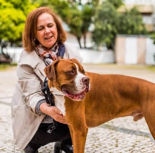 Animais de Estimação (Estadia)